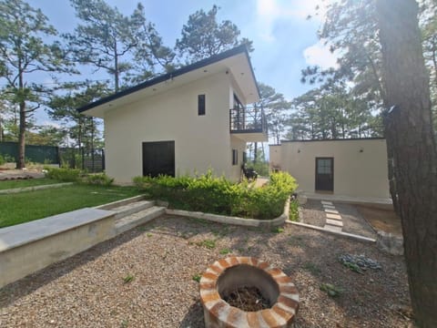 Property building, Day