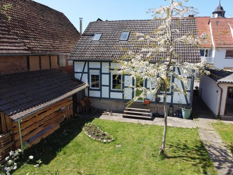 Property building, Garden, Garden view