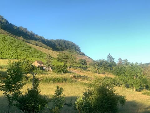 Natural landscape