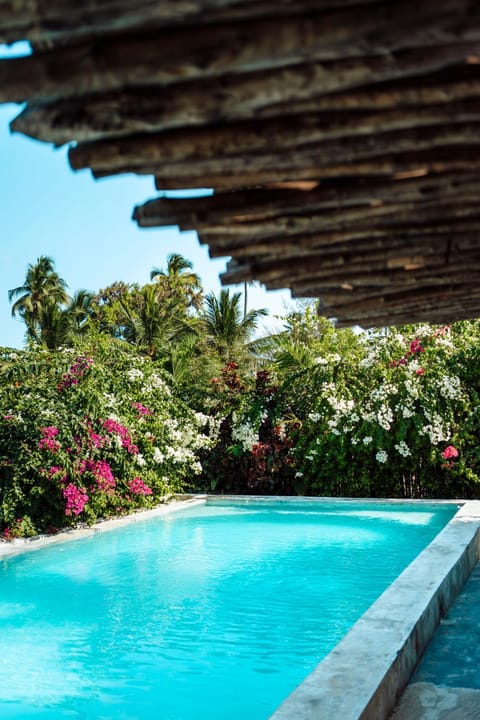 Day, Garden, Garden view, Pool view, Swimming pool