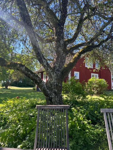 Natural landscape, Garden, Garden, Garden view
