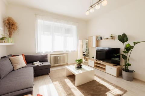 TV and multimedia, Living room, Seating area, Evening entertainment