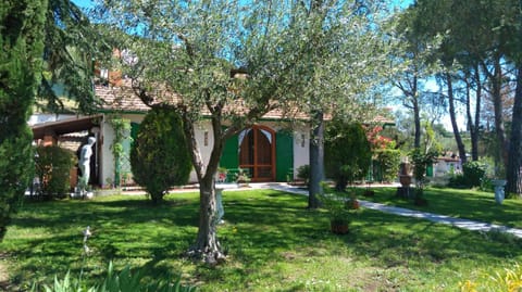 Spring, Day, Natural landscape, Garden