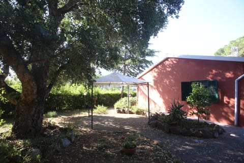 Garden, Garden view