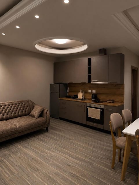 Kitchen or kitchenette, Living room, Seating area, Dining area, stove
