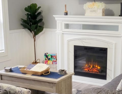 TV and multimedia, Living room, Family, fireplace
