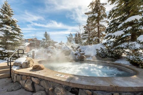 Natural landscape, Winter, Hot Tub