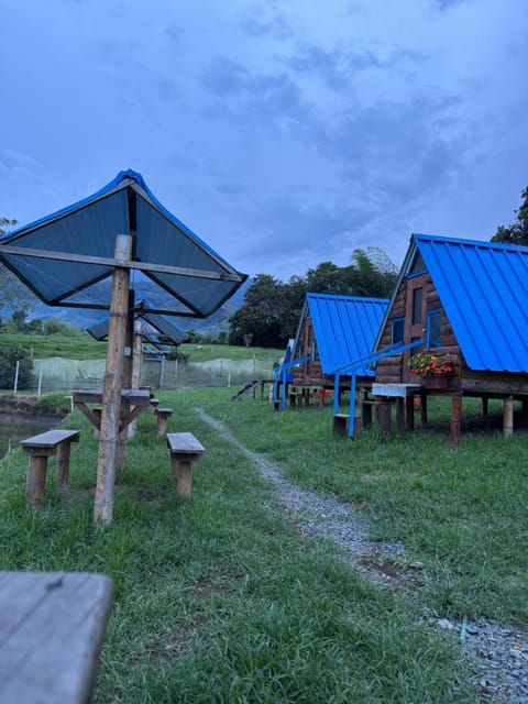 Property building, Off site, Garden
