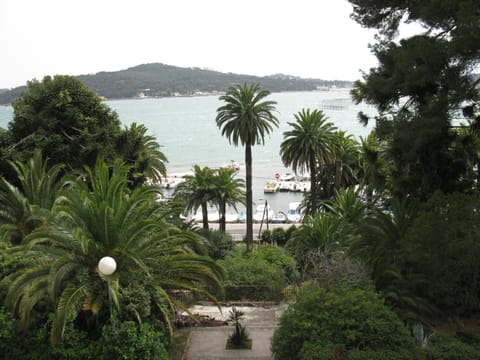 Property view