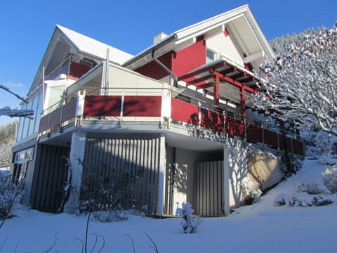 Facade/entrance, Winter, Garden
