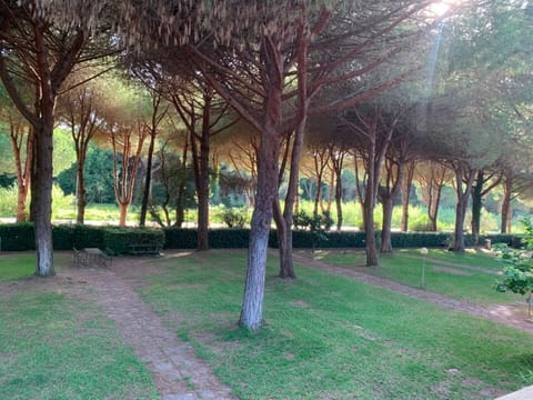 Garden, Garden view