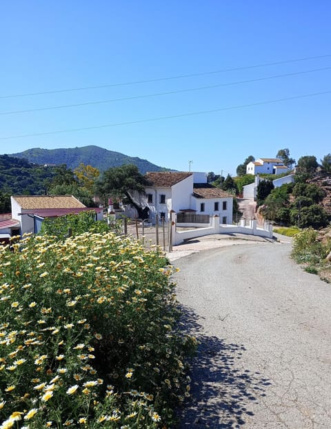 Neighbourhood