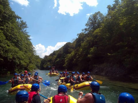 Activities, Activities, Other, River view, Sports