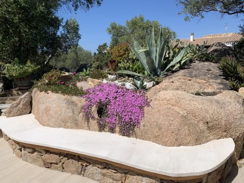 Patio, Spring, Garden view