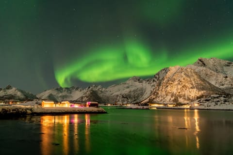 Natural landscape, Sauna, Sea view