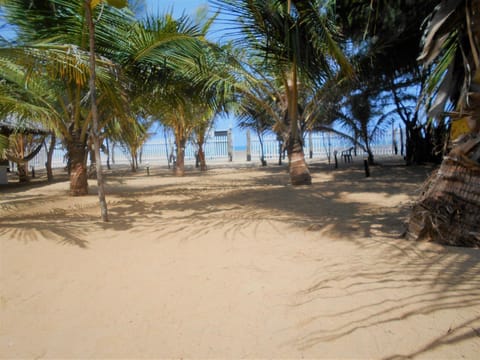 Other, Sea view