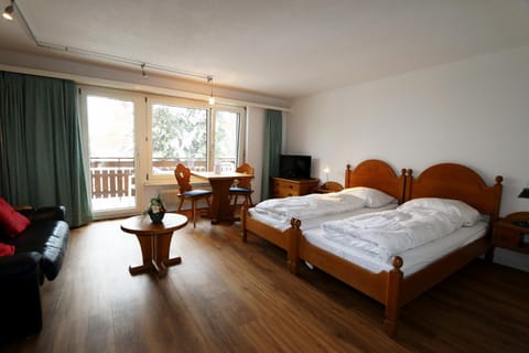 Sarazena Apartment in Saas-Fee