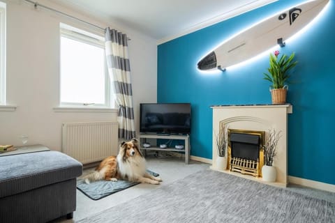 TV and multimedia, Living room, Pets