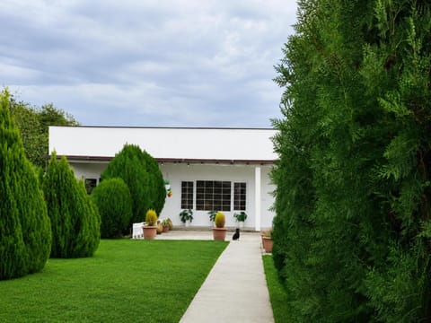 Property building, Day, Natural landscape, Garden, Garden view