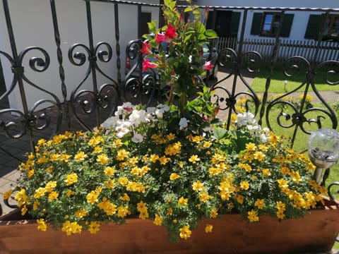 FeWo Steckenbergblick/Gästecard Apartment in Tyrol