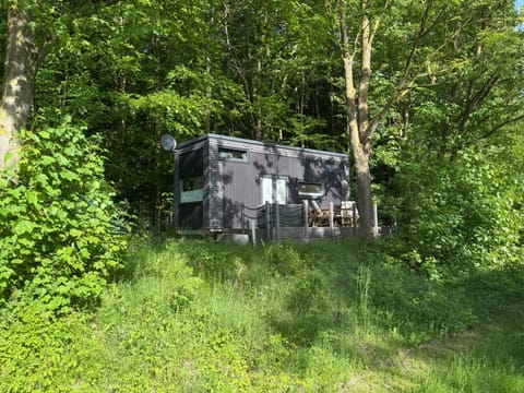 Property building, Spring, Garden view