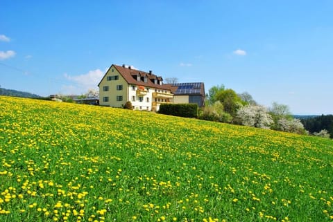 Property building, Natural landscape
