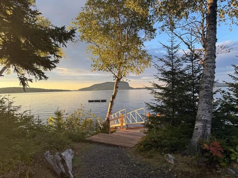 Property view