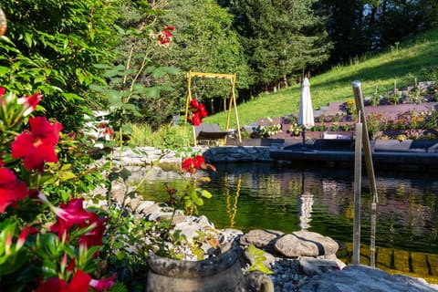 Garden, View (from property/room)