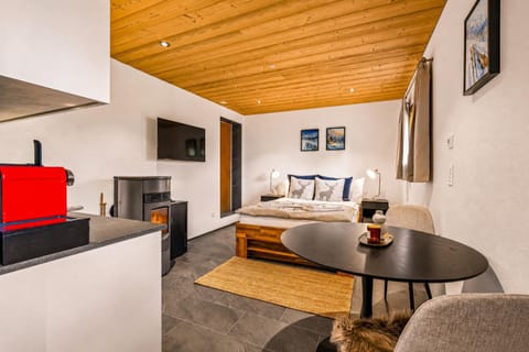 Bed, TV and multimedia, Kitchen or kitchenette, Living room, Photo of the whole room, Seating area, Dining area, Evening entertainment, Bedroom