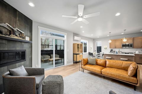 Balcony/Terrace, Kitchen or kitchenette, Living room, fireplace, furniture
