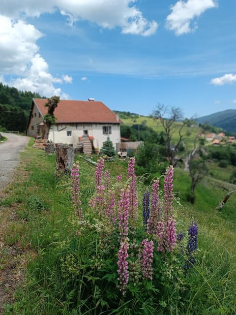 Property building, Natural landscape, Garden view, Mountain view
