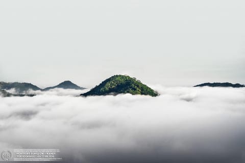 Natural landscape