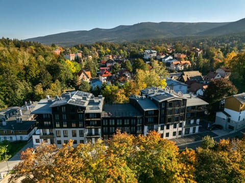 Property building, Day, Neighbourhood, Natural landscape, Bird's eye view, City view, Mountain view