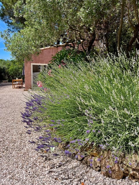 Property building, Spring, Day, Natural landscape, Garden, Garden view