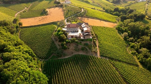 Property building, Spring, Day, Natural landscape, Bird's eye view, View (from property/room), Landmark view
