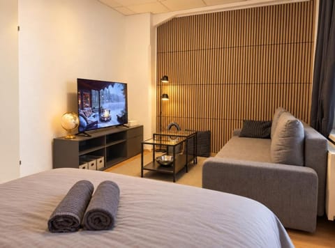 Bed, TV and multimedia, Living room, Seating area, Bedroom