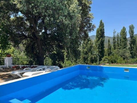 Day, Garden, Swimming pool