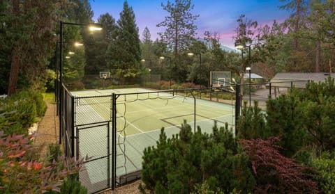 Tennis court