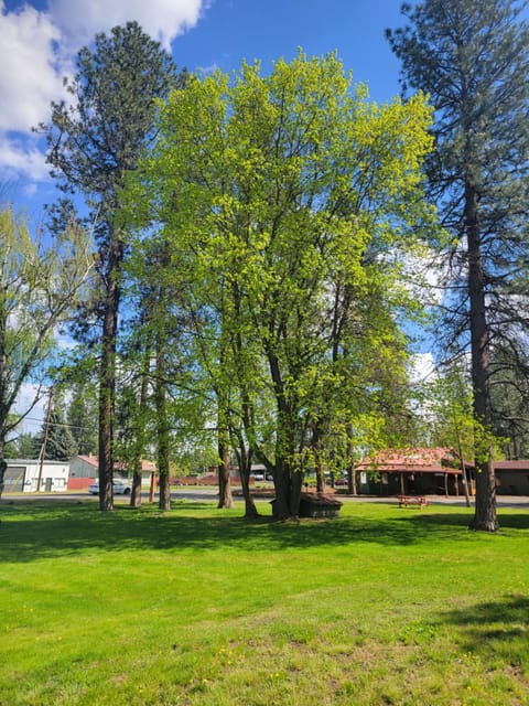 Spring, Day, Natural landscape