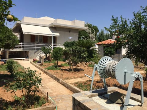 Property building, Day, Garden, Garden