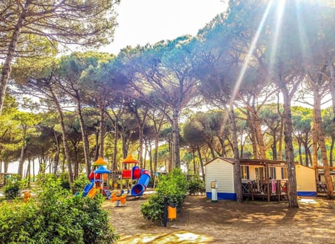 Natural landscape, Children play ground, Evening entertainment