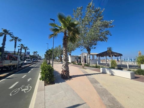 Beach, Cycling
