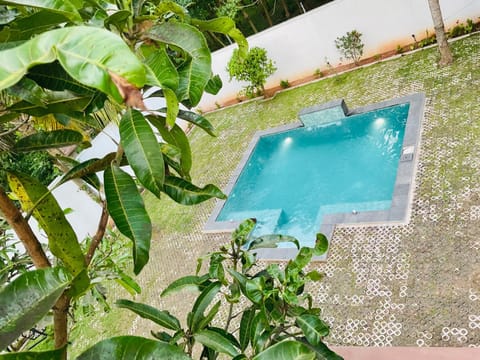 Garden, Swimming pool