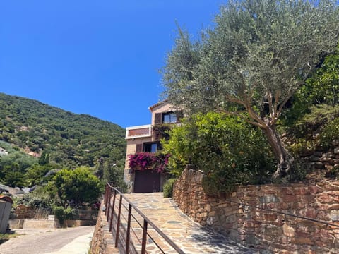 Property building, Facade/entrance, Natural landscape, Garden, Mountain view