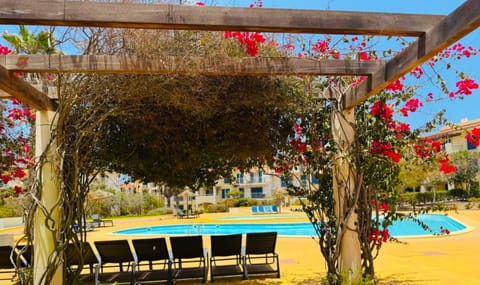 Garden view, Pool view, sunbed