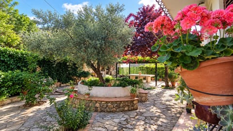 BBQ facilities, Garden