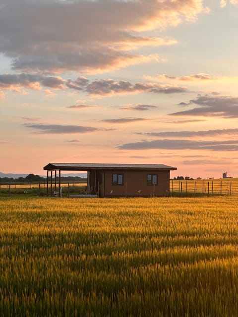 Property building, Natural landscape, Balcony/Terrace, Sunset
