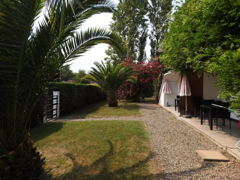 Day, Garden, Garden view
