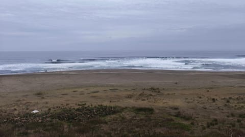 Nearby landmark, Natural landscape, Beach, Sea view