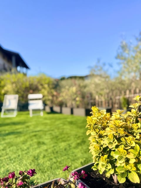 Garden, Garden view